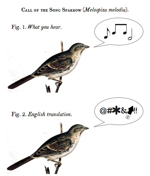 call-of-the-song-sparrow