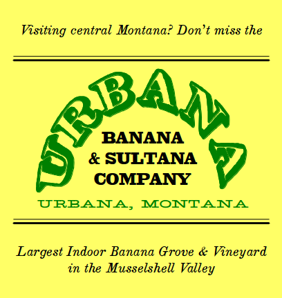 urbana-banana-and-sultana
