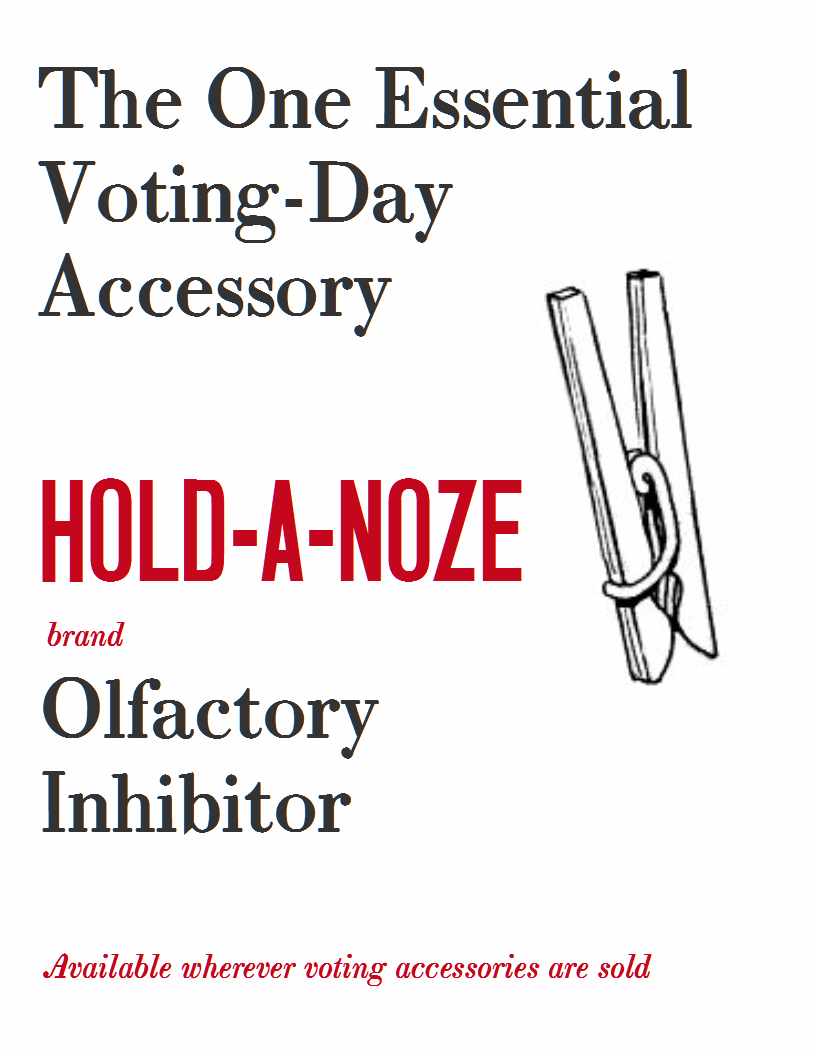 essential voting-day accessory hold-a-noze