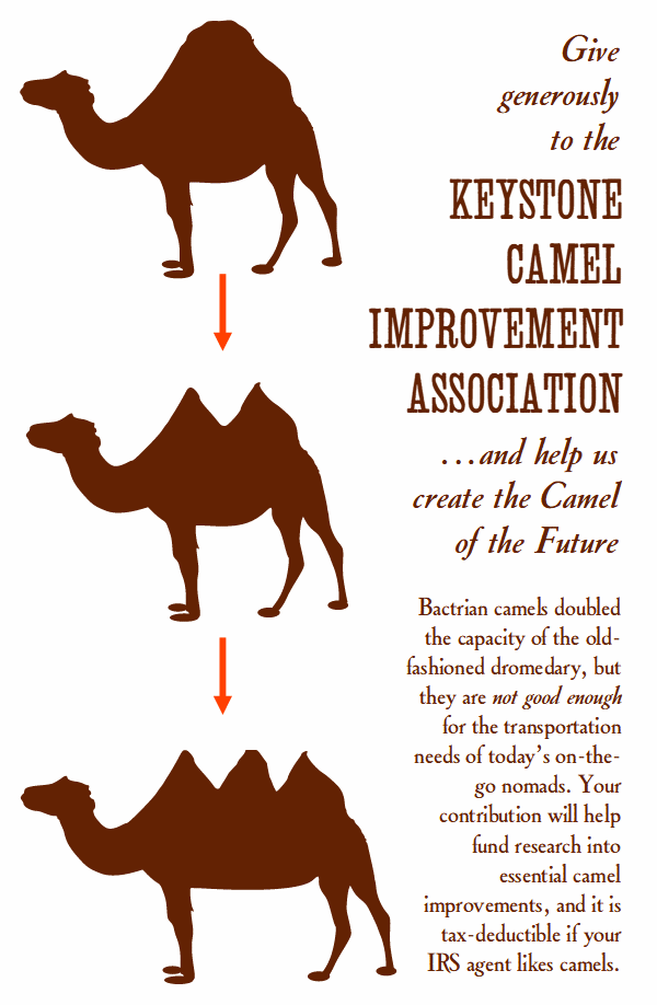 Give generously to the Keystone Camel Improvement Association…and help us create the Camel of the Future. Bactrian camels doubled the capacity of the old-fashioned dromedary, but they are not good enough for the transportation needs of today’s on-the-go nomads. Your contribution will help fund research into essential camel improvements, and it is tax-deductible if your IRS agent likes camels.