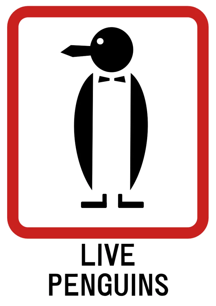 Live penguins