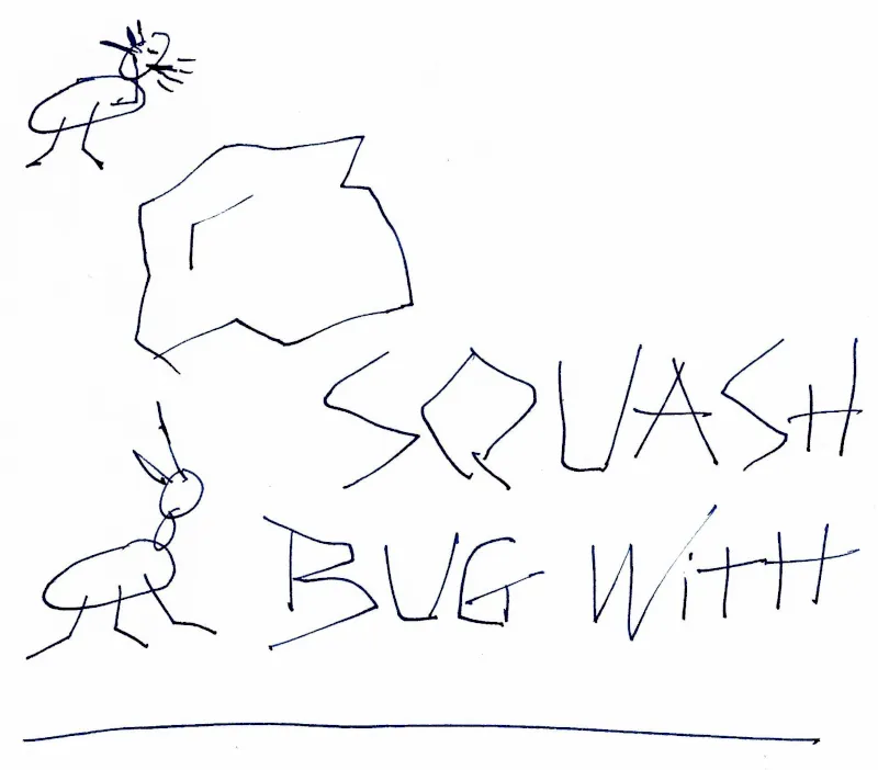 Squash bug with.